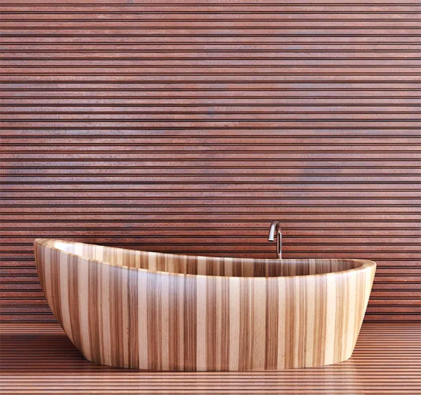 modern bathtub designs